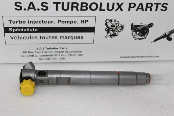 Injecteur DELPHI EMBR00002D-F37