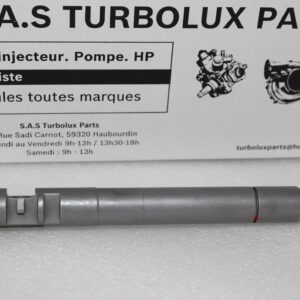 Injecteur DELPHI EMBR00101D-F40