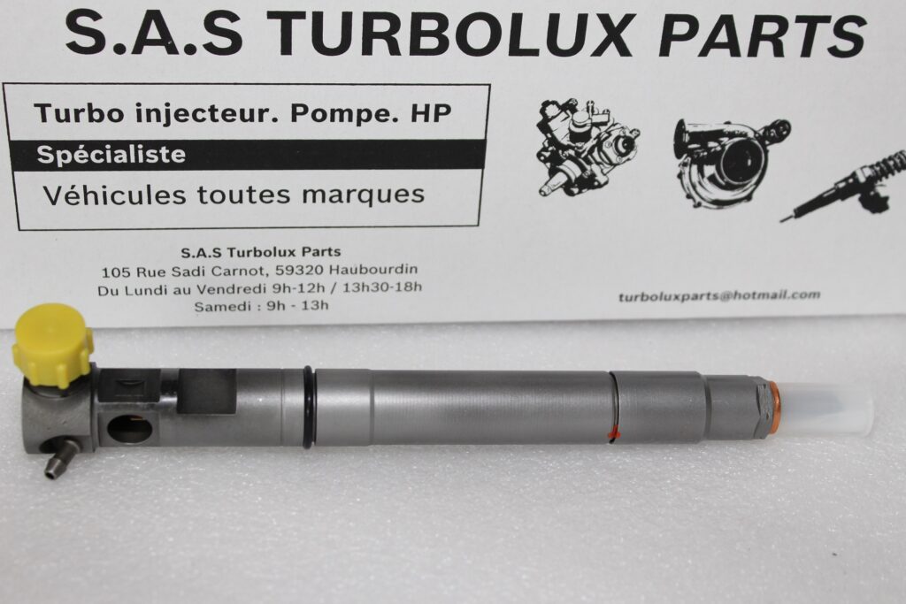 Injecteur DELPHI EMBR00301D-F43