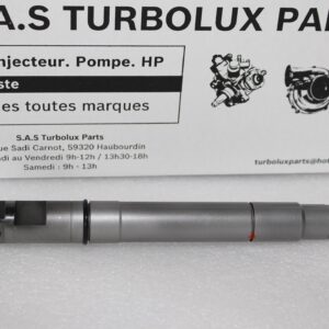 Injecteur DELPHI EMBR00301D-F43